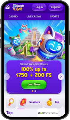 RoboCat Casino Mobile app
