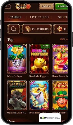 WildRobin Casino Mobile app