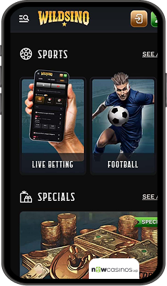 Wildsino Casino Mobile app